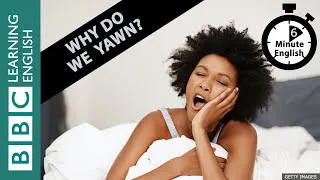 Why does seeing someone yawn make us yawn? 6 Minute English