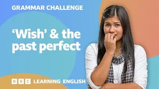 Grammar challenge: 'Wish' & the past perfect