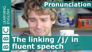 Pronunciation: The linking /j/