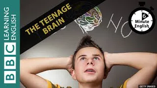 The teenage brain - 6 Minute English