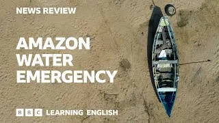 Amazon water emergency: BBC News Review