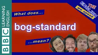 What does 'bog-standard' mean? - The English We Speak