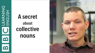 A secret about collective nouns - English In A Minute