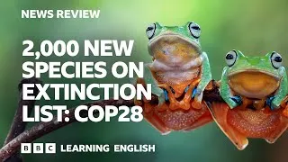 2,000 new species on extinction list: COP28: BBC News Review