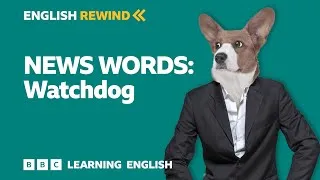 English Rewind - News Words: Watchdog