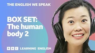 BOX SET: English vocabulary mega-class! 🤩 The human body 2 👀 🧠🦵