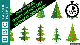 🎄🎅🎁 Fake or real: What’s the best tree to have at Christmas? 6 Minute English