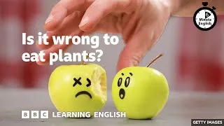 Is it wrong to eat plants? ⏲️ 6 Minute English