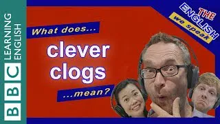 What does 'clever clogs' mean?