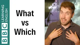 What vs Which - English In A Minute