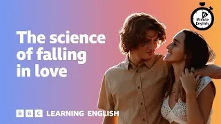 The science of falling in love ⏲️ 6 Minute English