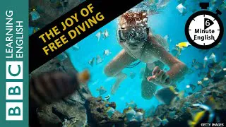 The joy of free diving - 6 Minute English