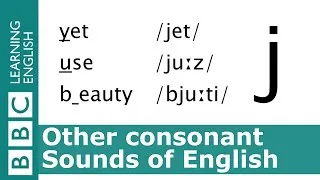 English Pronunciation 👄 Consonant - /j/ - 'yet', 'use' and 'beauty'