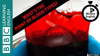 What’s the point of blood types? 6 Minute English