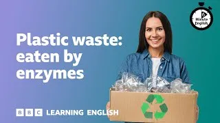 Plastic waste eaten by enzymes ⏲️ 6 Minute English