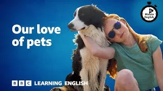 Our love of pets ⏲️ 6 Minute English