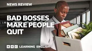 Bad bosses make people quit: BBC News Review