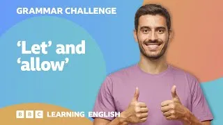 Grammar Challenge: 'let' & 'allow'