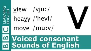 English Pronunciation 👄 Voiced Consonant - /v/ - 'view', 'heavy' and 'move'