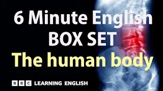 BOX SET: 6 Minute English - 'The Human Body' English mega-class! 30 minutes of new vocabulary!