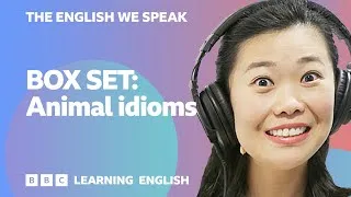 BOX SET: English vocabulary mega-class! 😍 Learn 7 English idioms in 15 minutes!