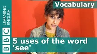 Vocabulary:  5 uses of 'see' - Moby Dick part 1