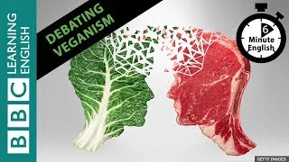 Debating veganism: How to change someone's opinion - 6 Minute English