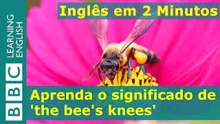 Inglês em 2 Minutos: The bee's knees (de qualidade excepcional)