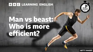Man vs beast: Who is more efficient? - 6 Minute English