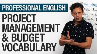Business English for Project Management & Budgets
