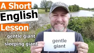 Learn the English Terms GENTLE GIANT and SLEEPING GIANT