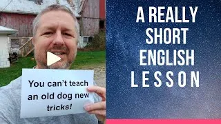 Meaning of YOU CAN'T TEACH AN OLD DOG NEW TRICKS - A Really Short English Lesson with Subtitles