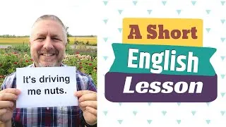 Learn the English Phrases IT'S DRIVING ME NUTS and TURN OVER A NEW LEAF