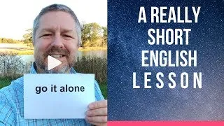 Meaning of GO IT ALONE and FLY SOLO - A Really Short English Lesson with Subtitles