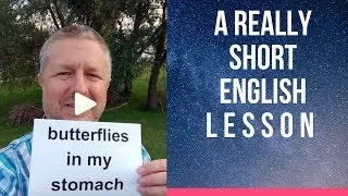 Meaning of BUTTERFLIES IN MY STOMACH - A Really Short English Lesson with Subtitles