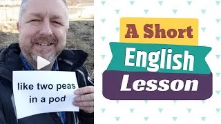 Meaning of TWO PEAS IN A POD and COOL BEANS - A Short English Lesson with Subtitles