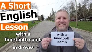 Learn the English Phrases WITH A FINE-TOOTH COMB and IN DROVES