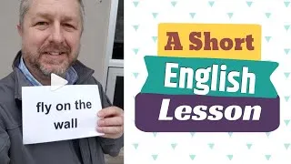 Meaning of A FLY ON THE WALL and NOSY - A Short English Lesson with Subtitles