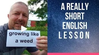 Meaning of GROWING LIKE A WEED - A Really Short English Lesson with Subtitles