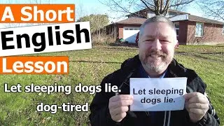 Learn the English Phrases LET SLEEPING DOGS LIE and DOG-TIRED