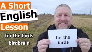 Learn the English Phrase FOR THE BIRDS and the Term BIRDBRAIN