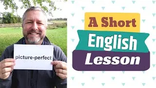 Learn the English Terms PICTURE-PERFECT and PERFECT STRANGER