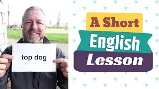 Learn the English Phrases TOP DOG and SECOND BANANA / SECOND FIDDLE