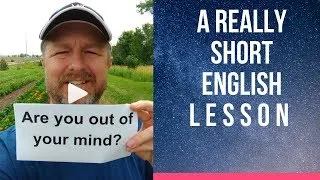 Meaning of ARE YOU OUT OF YOUR MIND? - A Really Short English Lesson with Subtitles