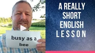 Meaning of BUSY AS A BEE - A Really Short English Lesson with Subtitles