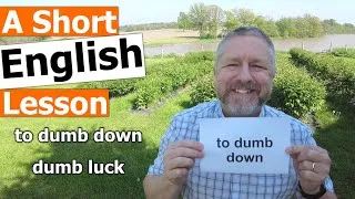 Learn The English Phrases TO DUMB DOWN and DUMB LUCK
