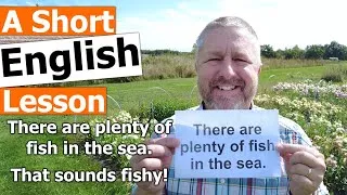 Learn the English Phrases THERE ARE PLENTY OF FISH IN THE SEA and THAT SOUNDS FISHY