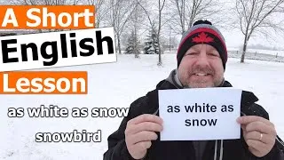 Learn the English Phrases AS WHITE AS SNOW and SNOWBIRD