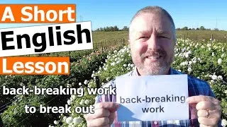 Learn the English Phrases BACK-BREAKING WORK and TO BREAK OUT