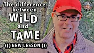 What is the difference between 'Tame' and 'Wild'? - Learn English words with Mr Duncan